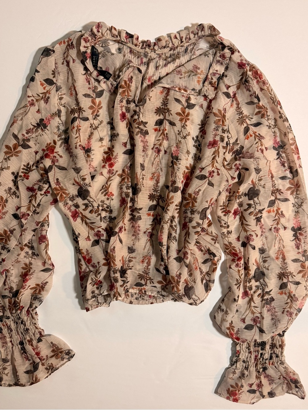 Zara Floral Ruffle Blouse Romantic Sheer Top Size L